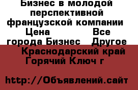 Бизнес в молодой перспективной французской компании › Цена ­ 30 000 - Все города Бизнес » Другое   . Краснодарский край,Горячий Ключ г.